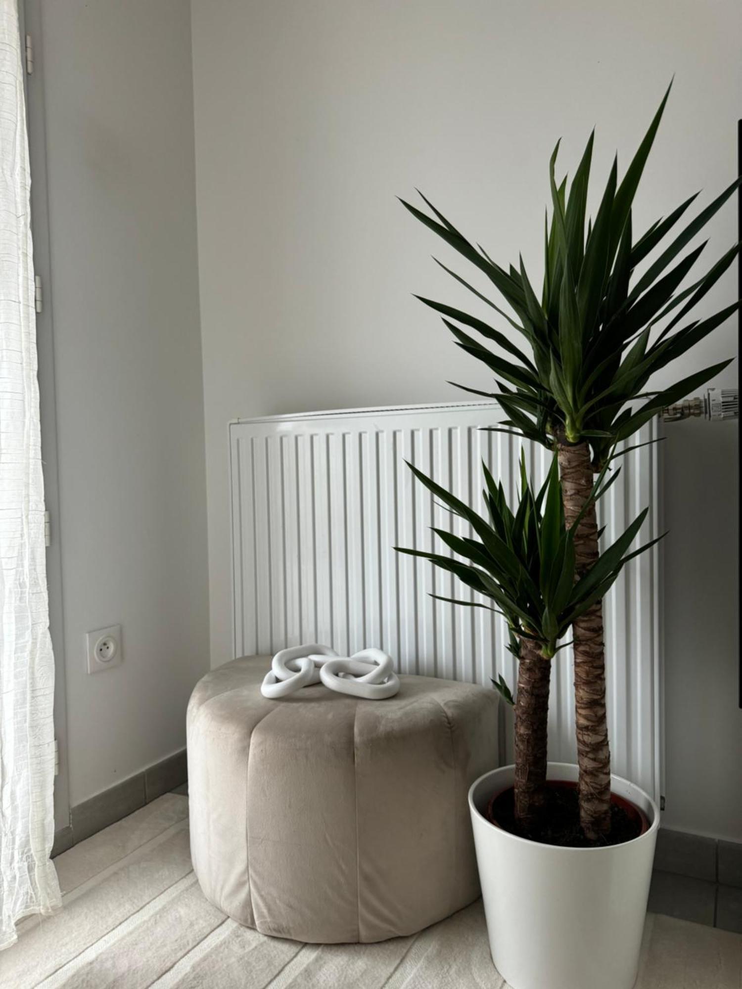 Superbe Appartement - Near Paris 코르베일에쏘네 외부 사진